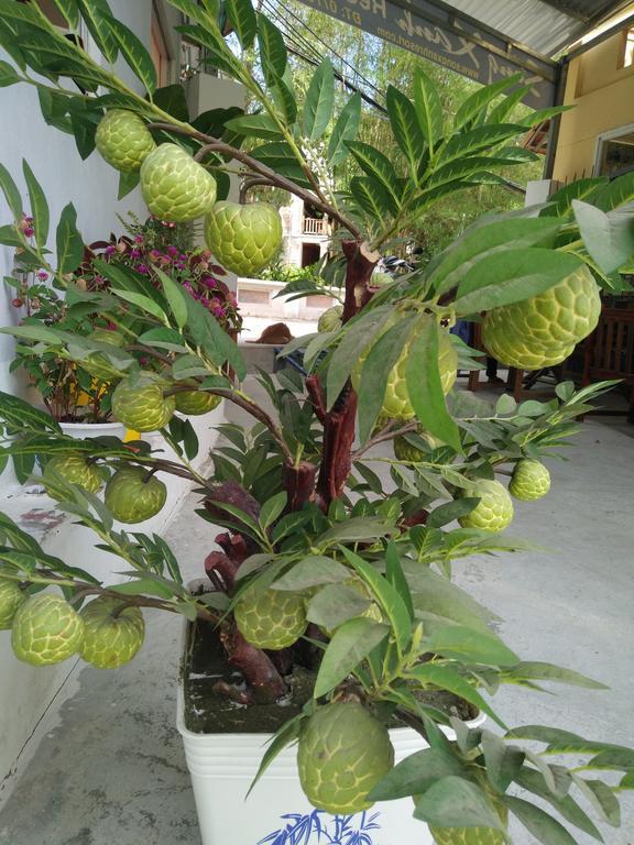 Song Xanh Bungalow Hotel ฟู้โกว๊ก ภายนอก รูปภาพ